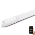 LED Pritemdomas fluorescencinis vamzdis MESH Išmanus T8/10W/230V 6500K 60 cm - Aigostar