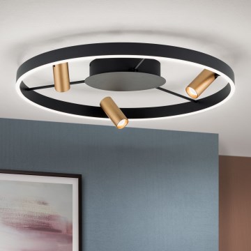 LED Pritemdomas lubinis šviestuvas BERLIN LED/50W/230V juoda/auksas