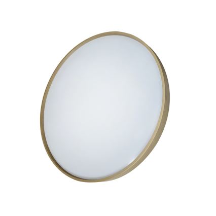 LED Pritemdomas lubinis šviestuvas DRINA LED/36W/230V 2700-6500K diametras 50 cm + nuotolinio valdymo pultas