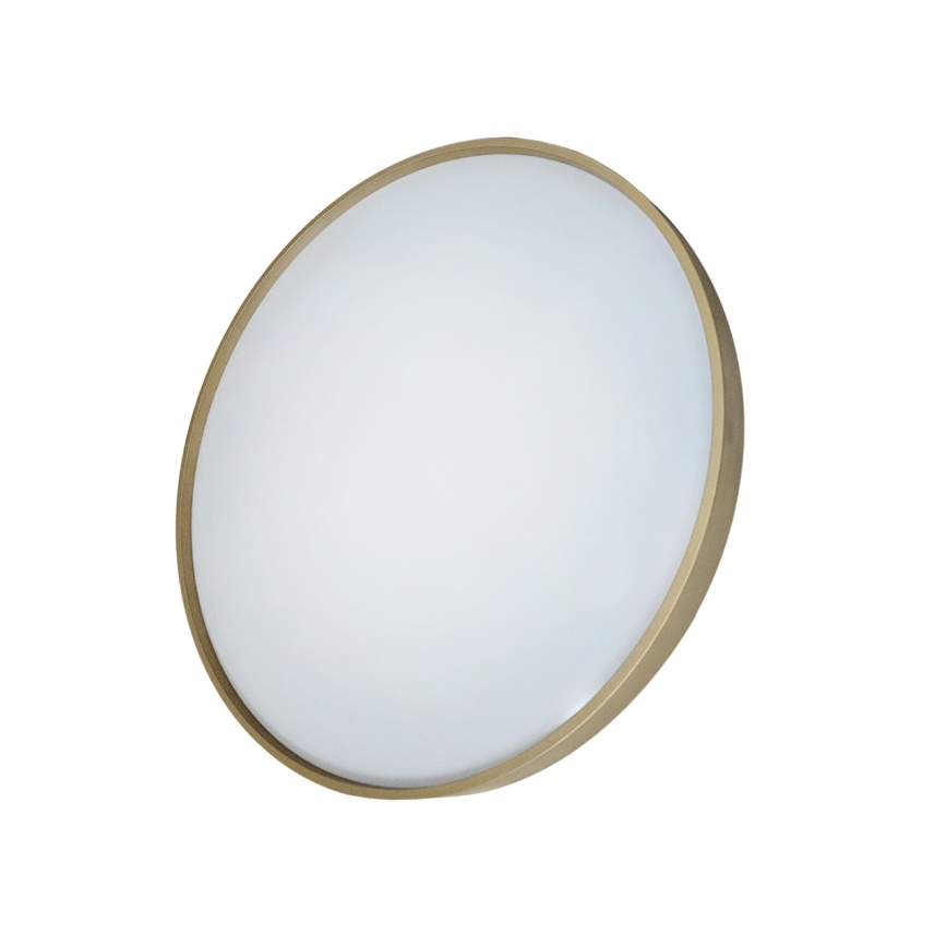 LED Pritemdomas lubinis šviestuvas DRINA LED/36W/230V 2700-6500K diametras 50 cm + nuotolinio valdymo pultas