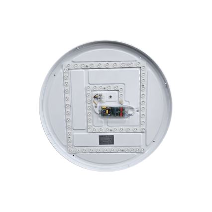 LED Pritemdomas lubinis šviestuvas EBRO LED/36W/230V 2700-6500K diametras 50 cm + nuotolinio valdymo pultas