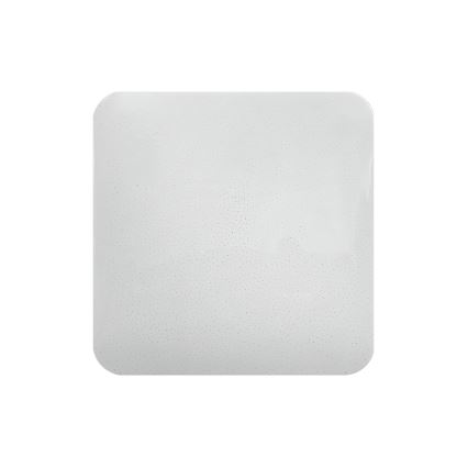 LED Pritemdomas lubinis šviestuvas FLORA LED/36W/230V 2700-6500K 43x43 cm + nuotolinio valdymo pultas