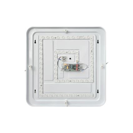 LED Pritemdomas lubinis šviestuvas FLORA LED/36W/230V 2700-6500K 43x43 cm + nuotolinio valdymo pultas