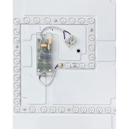 LED Pritemdomas lubinis šviestuvas FLORA LED/60W/230V 2700-6500K 53x53 cm + nuotolinio valdymo pultas