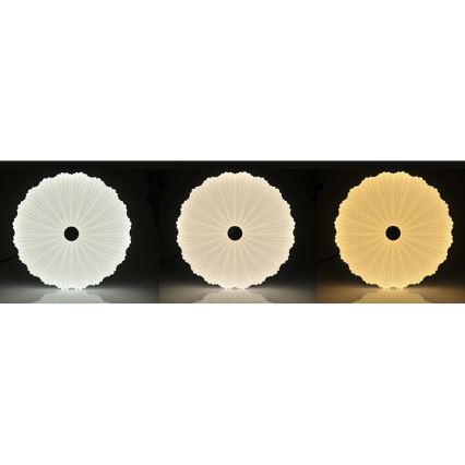 LED Pritemdomas lubinis šviestuvas FLOWER LED/36W/230V + Nuotolinio valdymo pultas