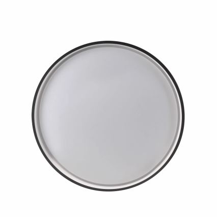 LED pritemdomas lubinis vonios šviestuvas JADWIGA LED/42W/230V diametras 38,5 cm 3000-6000K IP44 + nuotolinio valdymo pultas