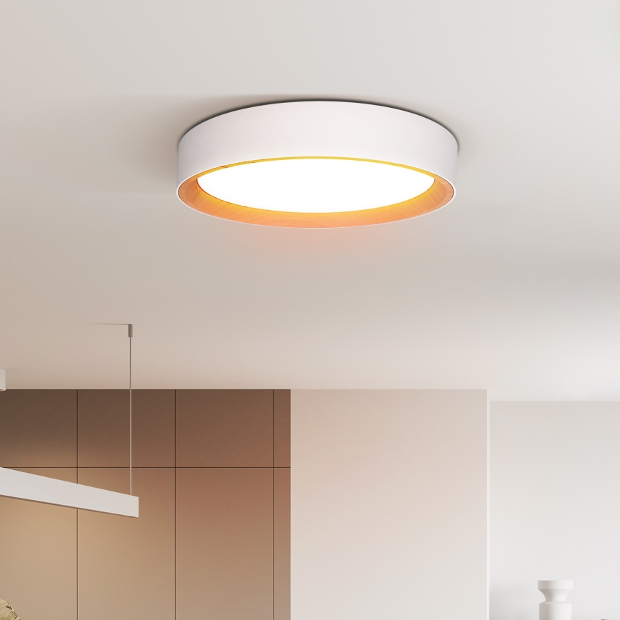 LED Pritemdomas lubinis šviestuvas LARIOS LED/48W/230V 3000-6500K diametras 39 cm balta + nuotolinio valdymo pultas