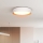 LED Pritemdomas lubinis šviestuvas LARIOS LED/48W/230V 3000-6500K diametras 39 cm balta + nuotolinio valdymo pultas