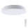 LED Pritemdomas lubinis šviestuvas LED/40W/230V 3000-6500K 39,5 cm balta + nuotolinio valdymo pultas