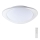 LED Pritemdomas lubinis šviestuvas LED/40W/230V 3000-6500K 45 cm balta + nuotolinio valdymo pultas
