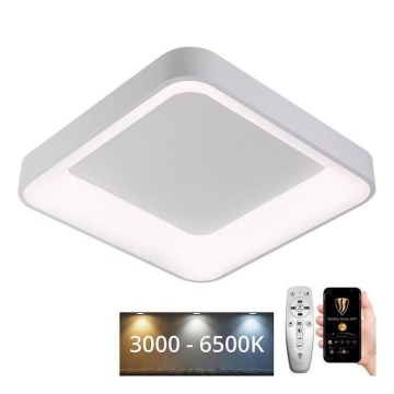 LED Pritemdomas lubinis šviestuvas LED/45W/230V 3000-6500K balta + nuotolinio valdymo pultas