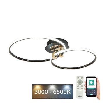 LED Pritemdomas lubinis šviestuvas LED/48W/230V 3000-6500K + nuotolinio valdymo pultas