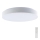 LED Pritemdomas lubinis šviestuvas LED/60W/230V 3000-6500K 49,5 cm balta + nuotolinio valdymo pultas