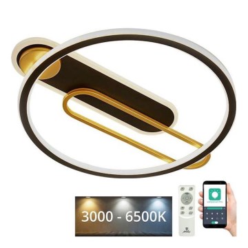 LED Pritemdomas lubinis šviestuvas LED/60W/230V 3000-6500K juoda + nuotolinio valdymo pultas