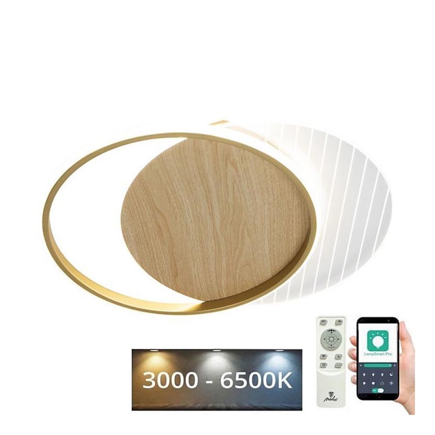 LED Pritemdomas lubinis šviestuvas LED/60W/230V 3000-6500K + nuotolinio valdymo pultas