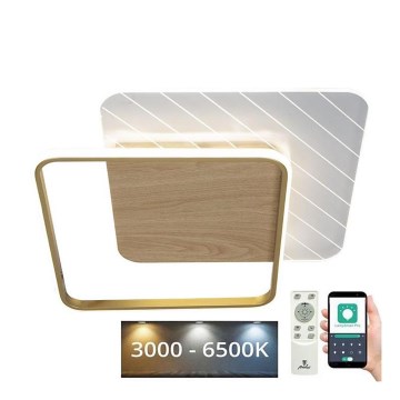 LED Pritemdomas lubinis šviestuvas LED/60W/230V 3000-6500K + nuotolinio valdymo pultas