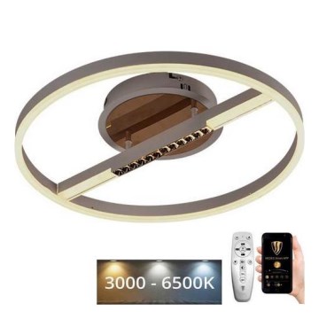 LED Pritemdomas lubinis šviestuvas LED/60W/230V 3000-6500K + nuotolinio valdymo pultas