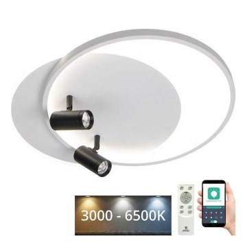 LED Pritemdomas lubinis šviestuvas LED/65W/230V 3000-6500K balta + nuotolinio valdymo pultas