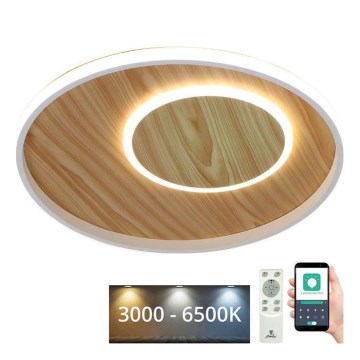 LED Pritemdomas lubinis šviestuvas LED/65W/230V 3000-6500K ruda + nuotolinio valdymo pultas