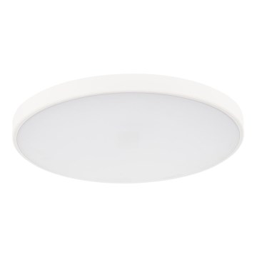 LED Pritemdomas lubinis šviestuvas PLAFON LED/20W/230V 3000-6500K Wi-Fi balta