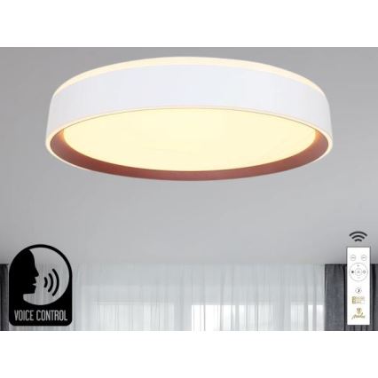 LED Pritemdomas lubinis šviestuvas su valdymu balsu OPAL LED/48W/230V 2700-6500K balta + nuotolinio valdymo pultas
