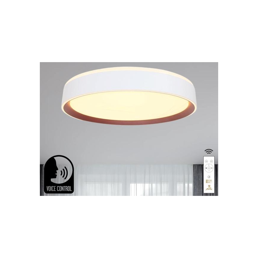 LED Pritemdomas lubinis šviestuvas su valdymu balsu OPAL LED/48W/230V 2700-6500K balta + nuotolinio valdymo pultas