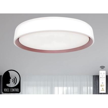 LED Pritemdomas lubinis šviestuvas su valdymu balsu OPAL LED/48W/230V 2700-6500K balta + nuotolinio valdymo pultas