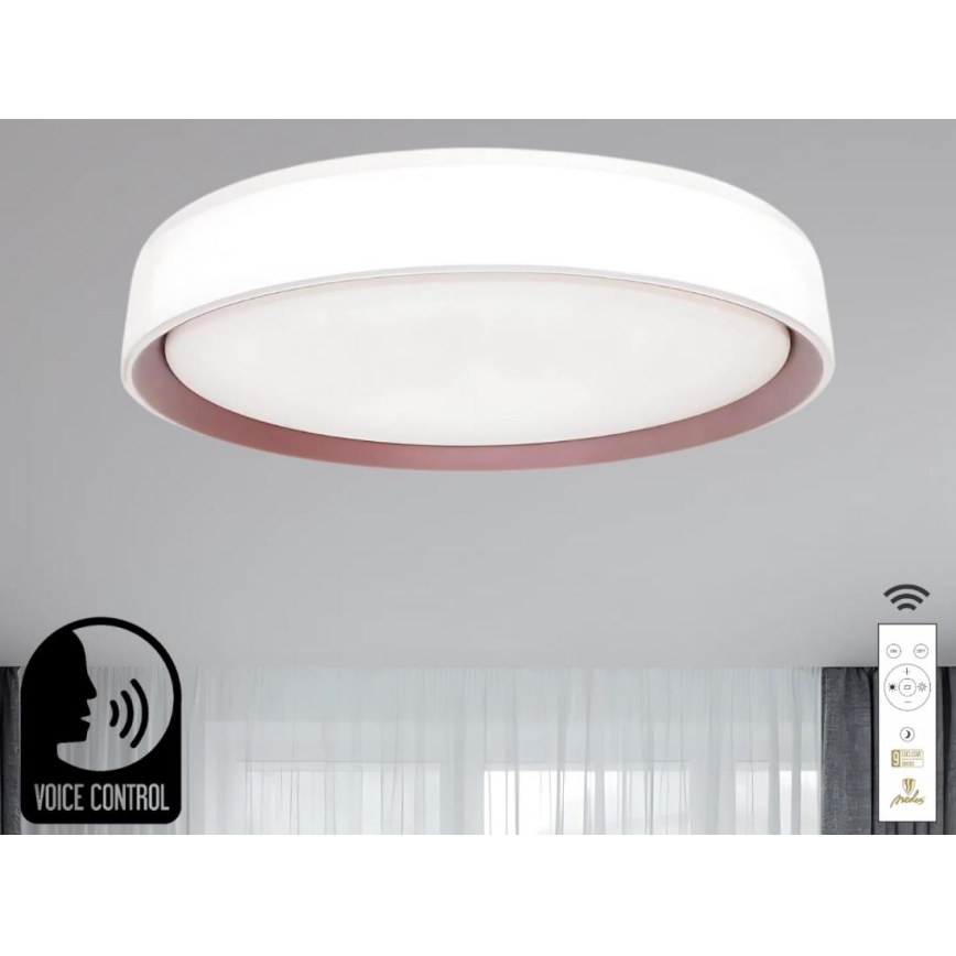 LED Pritemdomas lubinis šviestuvas su valdymu balsu OPAL LED/48W/230V 2700-6500K balta + nuotolinio valdymo pultas