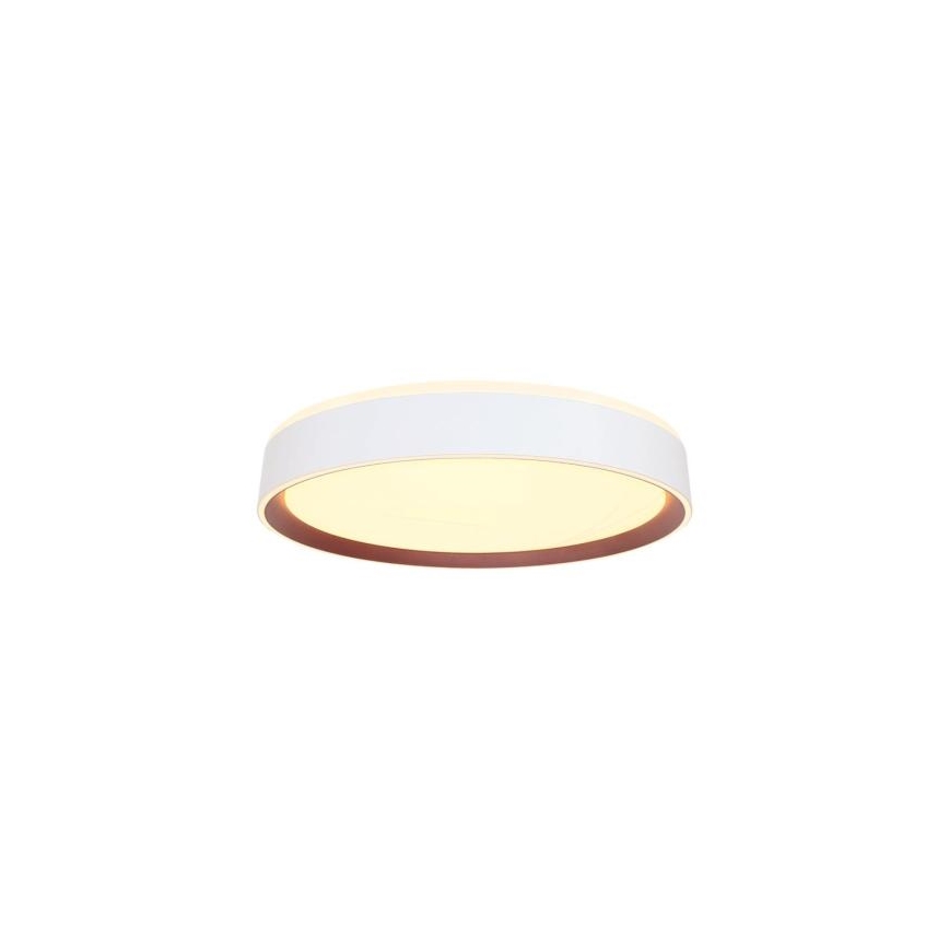 LED Pritemdomas lubinis šviestuvas su valdymu balsu OPAL LED/48W/230V 2700-6500K balta + nuotolinio valdymo pultas
