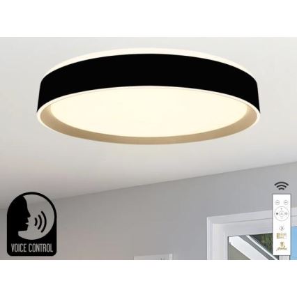 LED Pritemdomas lubinis šviestuvas su valdymu balsu OPAL LED/48W/230V 2700-6500K juoda + nuotolinio valdymo pultas