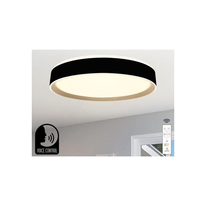 LED Pritemdomas lubinis šviestuvas su valdymu balsu OPAL LED/48W/230V 2700-6500K juoda + nuotolinio valdymo pultas