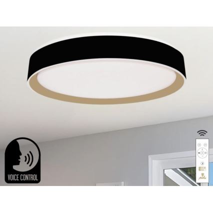 LED Pritemdomas lubinis šviestuvas su valdymu balsu OPAL LED/48W/230V 2700-6500K juoda + nuotolinio valdymo pultas