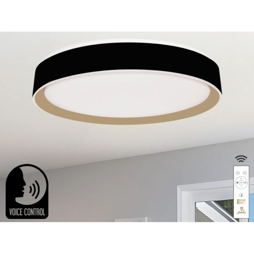 LED Pritemdomas lubinis šviestuvas su valdymu balsu OPAL LED/48W/230V 2700-6500K juoda + nuotolinio valdymo pultas