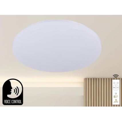 LED Pritemdomas lubinis šviestuvas su valdymu balsu OPAL LED/48W/230V 2700-6500K balta + nuotolinio valdymo pultas