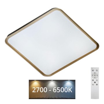 LED Pritemdomas lubinis šviestuvas UNA LED/60W/230V 2700-6500K 50x50 cm + nuotolinio valdymo pultas