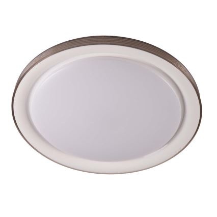 LED pritemdomas lubinis vonios šviestuvas GRAŻYNA LED/72W/230V 3000-6000K diametras 51 cm IP44 pilka + nuotolinio valdymo pultas