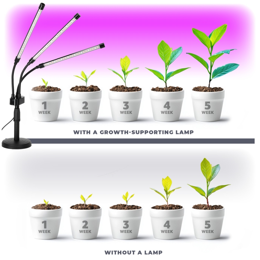 LED Pritemdoma lanksti stalinė lempa augantiems augalams VITARO 3xLED/10W/230V juoda