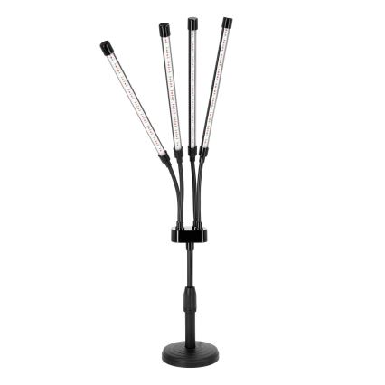 LED šviesos reguliavimas lankstus Stalinis šviestuvas augalams auginti VITARO 4xLED/10W/230V juoda