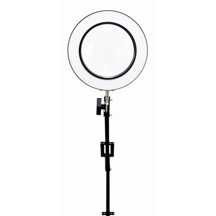 LED pritemdomas stalinis šviestuvas su padidinamuoju stiklu LED/10W/230V 3000/4500/6000K
