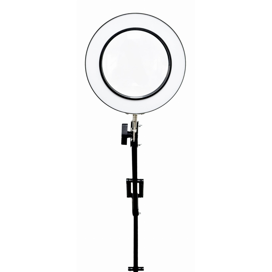 LED pritemdomas stalinis šviestuvas su padidinamuoju stiklu LED/10W/230V 3000/4500/6000K