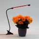 LED Pritemdomas šviestuvas su segtuku augalams apšviesti LED/3W/230V juoda