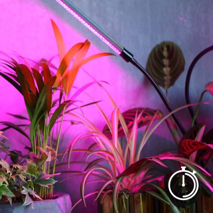 LED pritemdoma lanksti stalinė lempa su segtuku augalams auginti VITARO 4xLED/10W/230V juoda