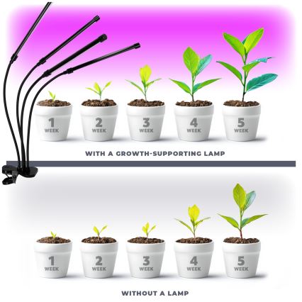 LED pritemdoma lanksti stalinė lempa su segtuku augalams auginti VITARO 4xLED/10W/230V juoda