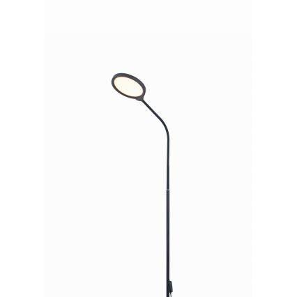 LED pritemdomas toršeras 2in1 LED/10W/230V 3000-4500-6500K juoda