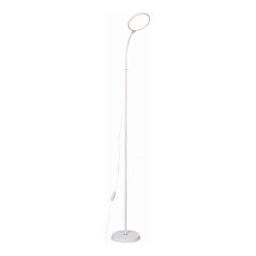 LED pritemdomas toršeras 2in1 LED/10W/230V balta