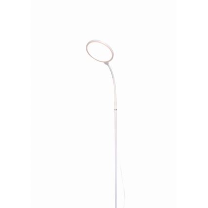 LED pritemdomas toršeras 2in1 LED/10W/230V balta