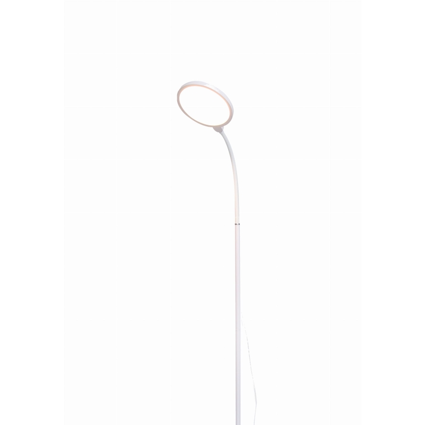LED pritemdomas toršeras 2in1 LED/10W/230V balta