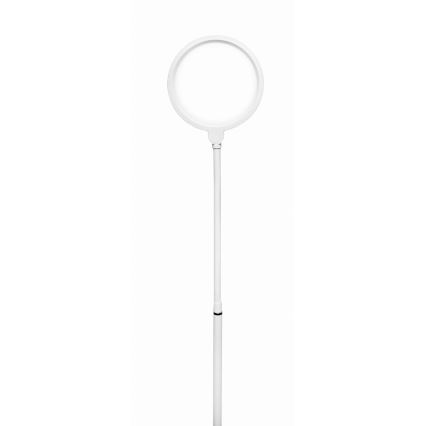LED pritemdomas toršeras 2in1 LED/10W/230V balta