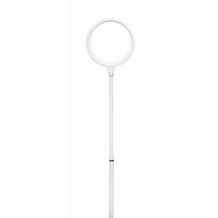 LED pritemdomas toršeras 2in1 LED/10W/230V balta