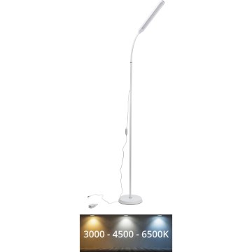 LED pritemdomas toršeras SIGNUS LED/10W/230V 3000/4500/6500K balta